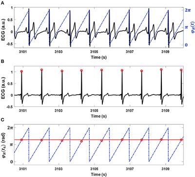 Human Heart Rhythms Synchronize While Co-sleeping